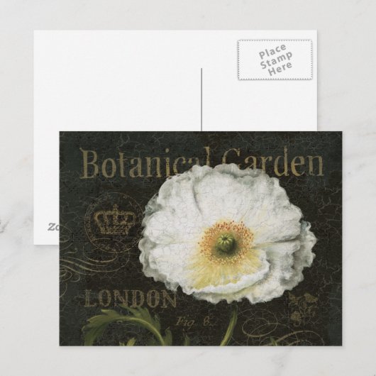 Witte bloesems en bladeren briefkaart (Voorkant / Achterkant)