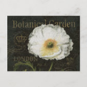 Witte bloesems en bladeren briefkaart (Voorkant)