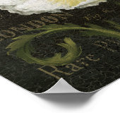 Witte bloesems en bladeren poster (Hoek)