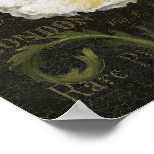 Witte bloesems en bladeren poster (Hoek)