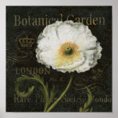 Witte bloesems en bladeren poster (Voorkant)