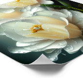 Witte bloesems en waterdruppels poster (Hoek)