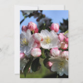 Witte bloesems Floral bruiloft bewaart de datum Kaart (Achterkant)