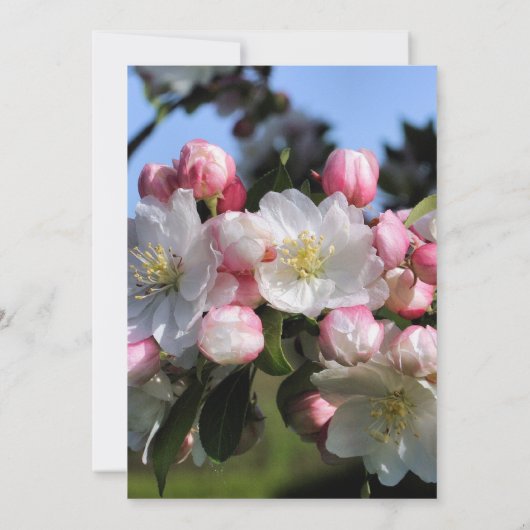 Witte bloesems Floral bruiloft bewaart de datum Kaart (Achterkant)