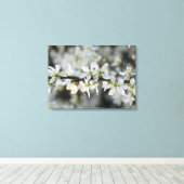 Witte Bloesems Foto Verpakt Canvas (Insitu (Houten vloer))