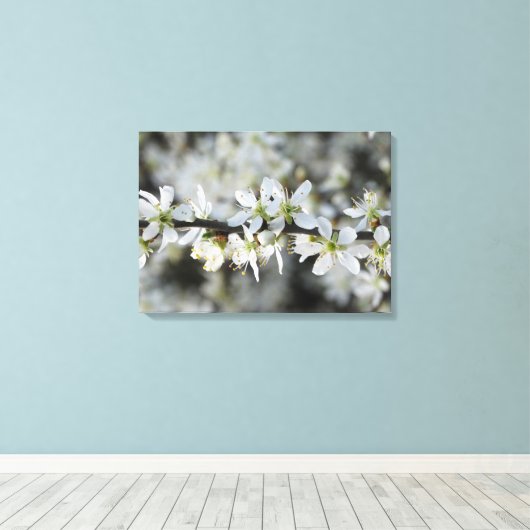 Witte Bloesems Foto Verpakt Canvas (Insitu (Houten vloer))