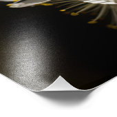 witte bloesems Fotouitbreiding Foto Afdruk (Hoek)