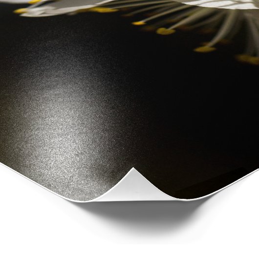 witte bloesems Fotouitbreiding Foto Afdruk (Hoek)