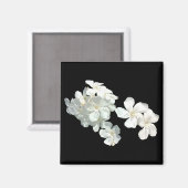 Witte bloesems magneet (Voorkant / Achterkant)