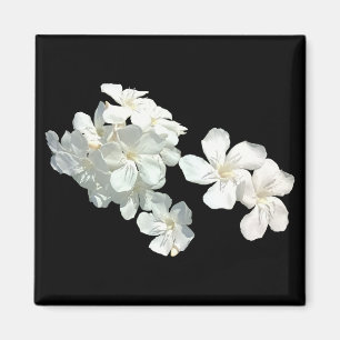 Witte bloesems magneet