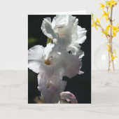 Witte bloesems op zwart Wenskaart Kaart (Gele Bloem)