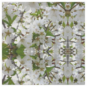 Witte bloesems stof