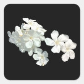 Witte bloesems vierkante sticker (Voorkant)