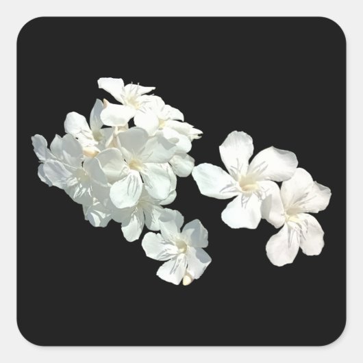 Witte bloesems vierkante sticker (Voorkant)