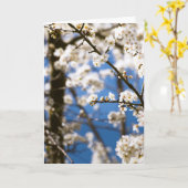 Witte bloesems voor een witte lucht kaart (Gele Bloem)