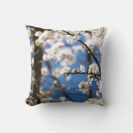 Witte bloesems voor een witte lucht kussen