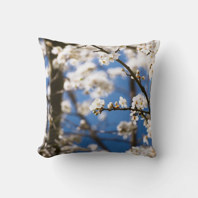 Witte bloesems voor een witte lucht kussen (Voorkant)