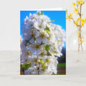 Witte bloesemtak van de peer in de lente kaart (Gele Bloem)