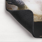 Witte Blond Raccoon Wildlife Leuk Dier Muismat (Hoek)