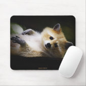 Witte Blond Raccoon Wildlife Leuk Dier Muismat (Met muis)