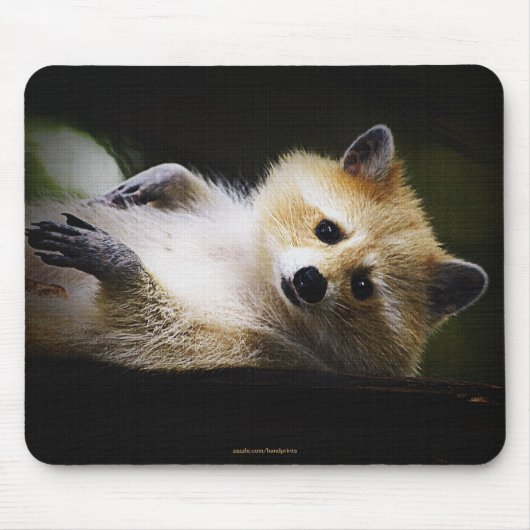 Witte Blond Raccoon Wildlife Leuk Dier Muismat (Voorkant)