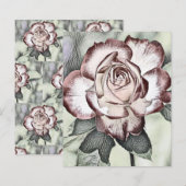 Witte, blozende, rode roos papiervel (Voorkant / Achterkant)