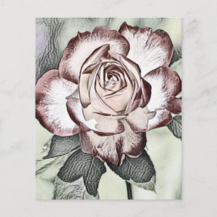 Witte, blozende, rode roos papiervel