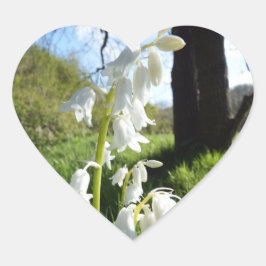Witte Bluebells Stickers