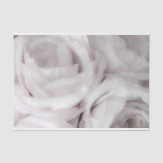 Witte Blush Rozen Elegante Minimale Trouwdag Tissuepapier (Voorkant)