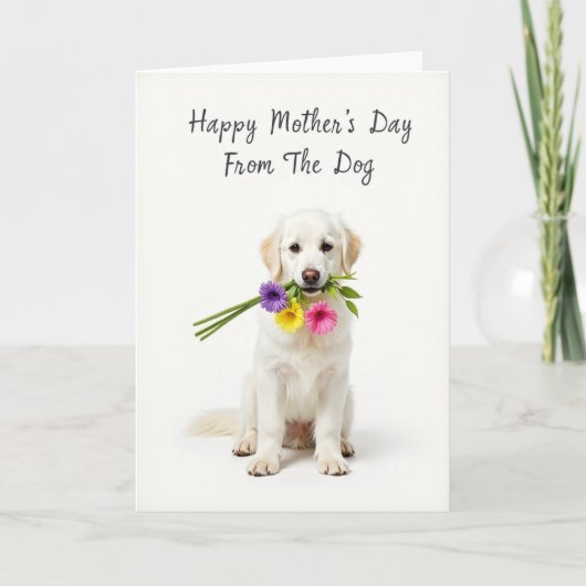Witte Boeket Hond Kaart (Voorkant)