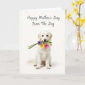 Witte Boeket Hond Kaart (Gele Bloem)