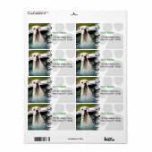 Witte bokser in een auto etiket (Full Sheet)