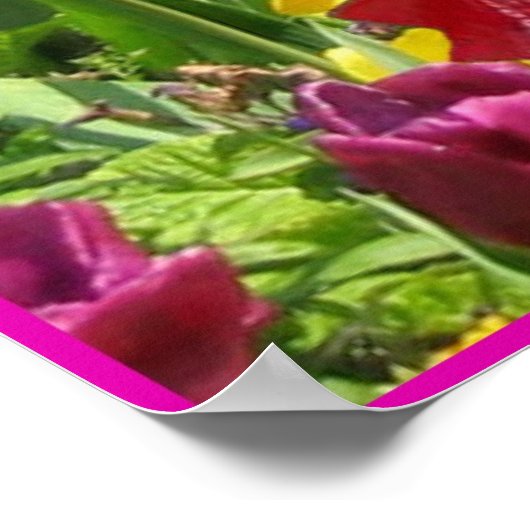 Witte bokspuppy in tlips poster (Hoek)