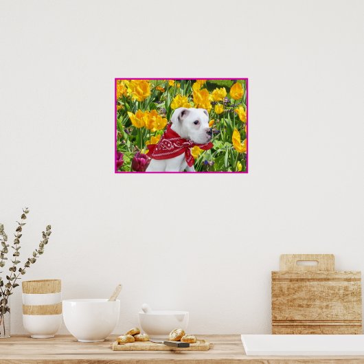 Witte bokspuppy in tlips poster (Keuken)