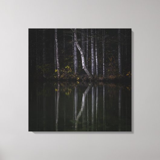 Witte bomen die in het meer reflecteren canvas afdruk (Voorkant)