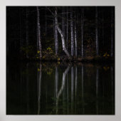 Witte bomen die in het meer reflecteren poster (Voorkant)