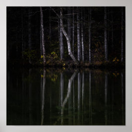 Witte bomen die in het meer reflecteren poster