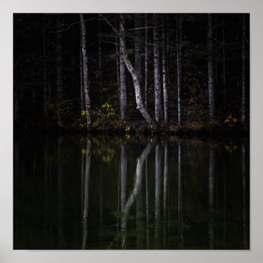 Witte bomen die in het meer reflecteren poster (Voorkant)