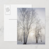 Witte bomen op een sneeuwdag briefkaart (Voorkant / Achterkant)