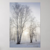 Witte bomen op een sneeuwdag poster (Voorkant)
