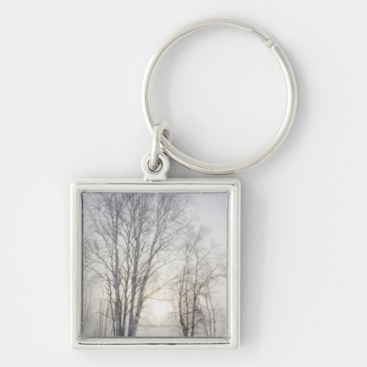 Witte bomen op een sneeuwdag sleutelhanger (Voorkant)
