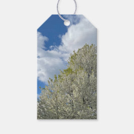 Witte Boom Blauwe Lucht Wolken Foto Cadeaulabel