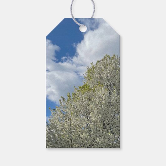 Witte Boom Blauwe Lucht Wolken Foto Cadeaulabel (Voorkant)