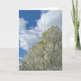 Witte Boom Blauwe Lucht Wolken Foto Kaart