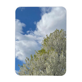 Witte Boom Blauwe Lucht Wolken Foto Magneet