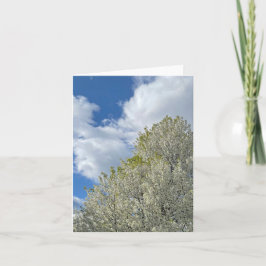 Witte boom blauwe lucht wolken foto notitiekaartje