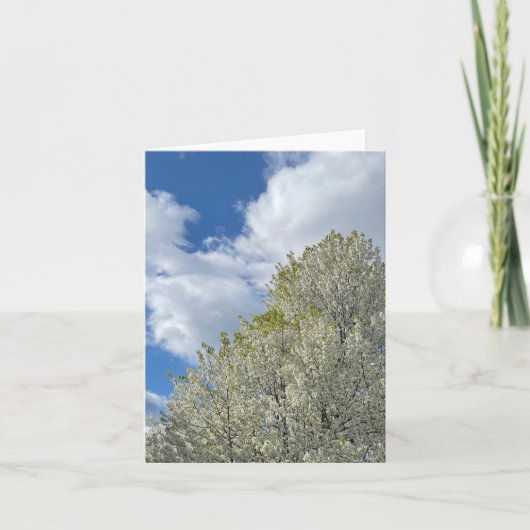 Witte boom blauwe lucht wolken foto notitiekaartje (Voorkant)