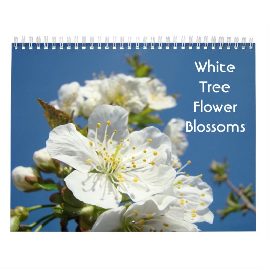 Witte Boom Bloesem Kalender Fotografie (Hoes)