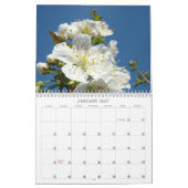 Witte Boom Bloesem Kalender Fotografie (Jan 2027)