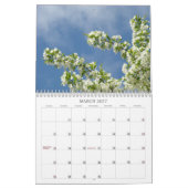 Witte Boom Bloesem Kalender Fotografie (Mar 2027)